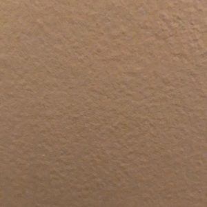 Meet your Posher, Steve